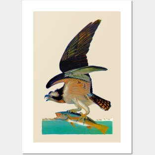 John J. Audubons Fishing eagle Posters and Art